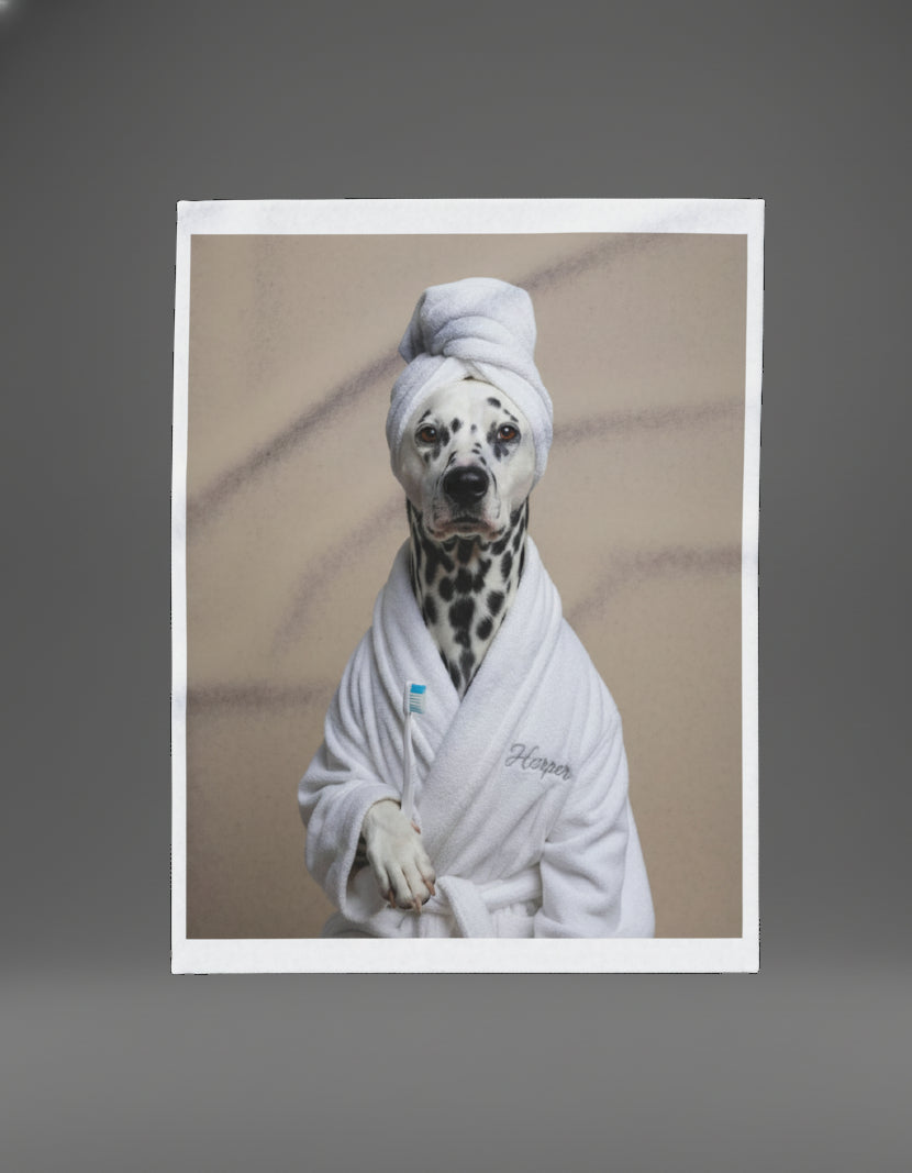 Comedy Pet Portraits