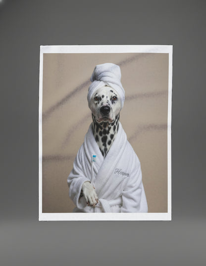 Comedy Pet Portraits