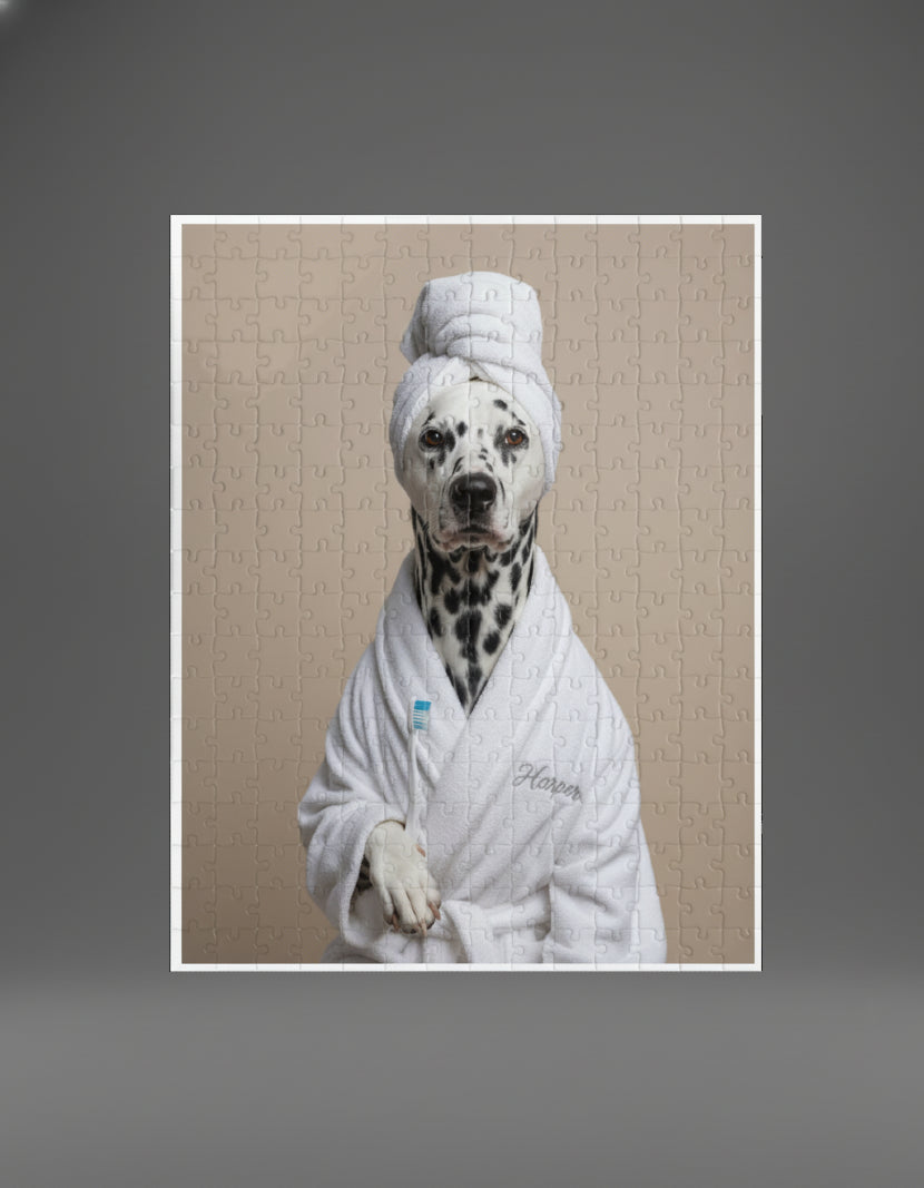 Comedy Pet Portraits