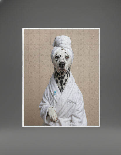 Comedy Pet Portraits