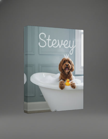 Comedy Pet Portraits