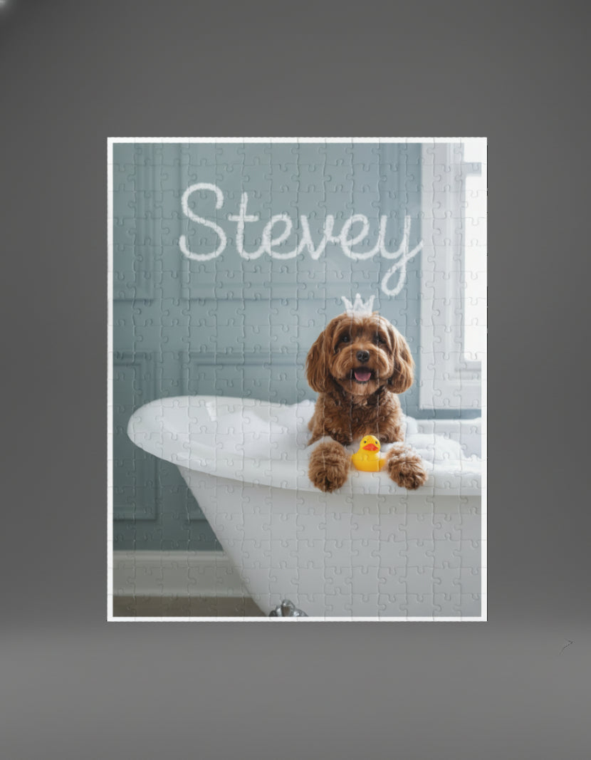 Comedy Pet Portraits