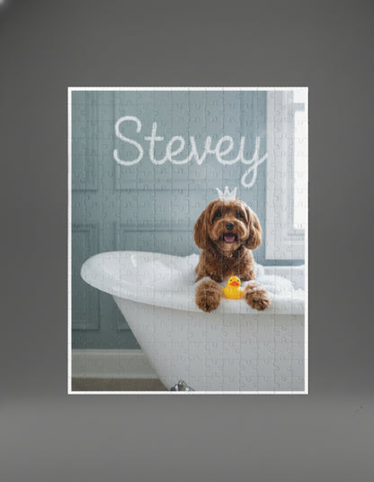 Comedy Pet Portraits