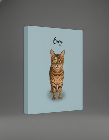 Professional Pet Portraits