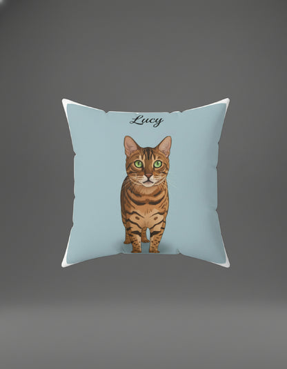 Professional Pet Portraits