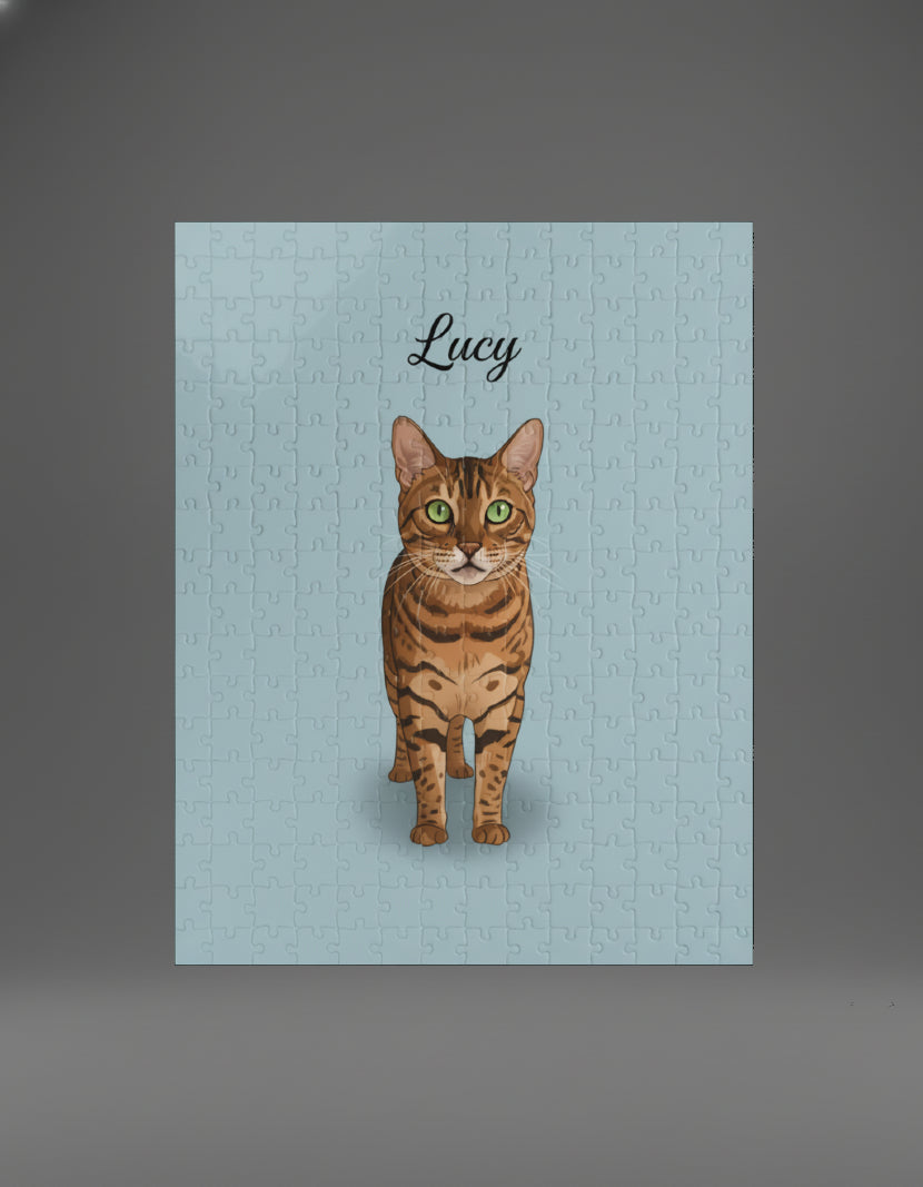 Professional Pet Portraits