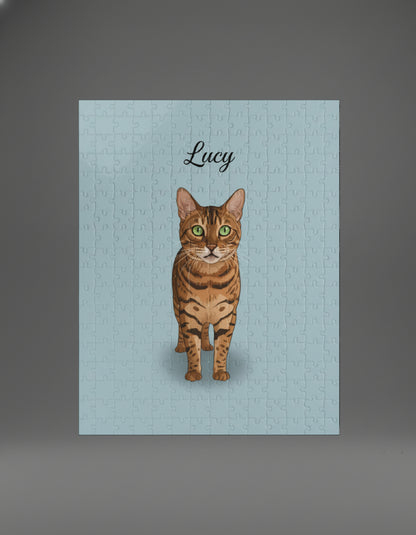 Professional Pet Portraits