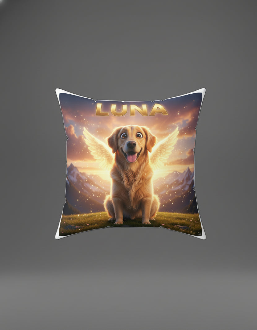 Professional Pet Portraits