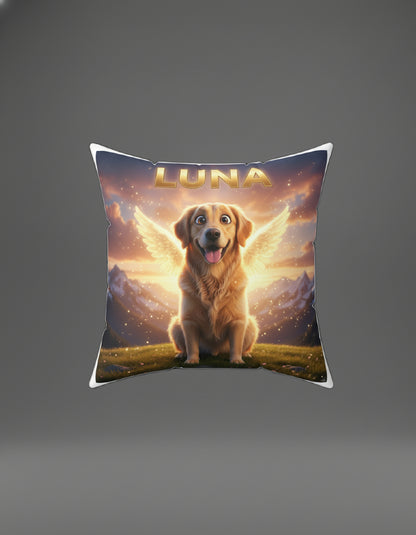 Professional Pet Portraits