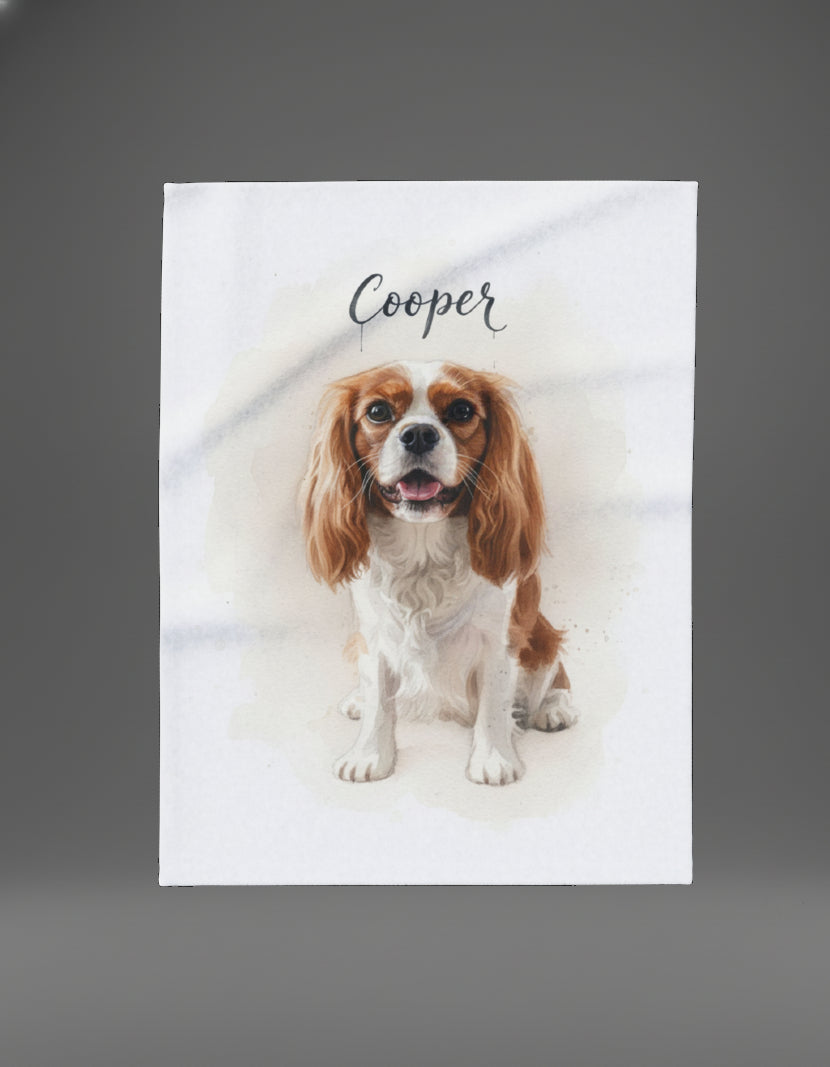 Professional Pet Portraits