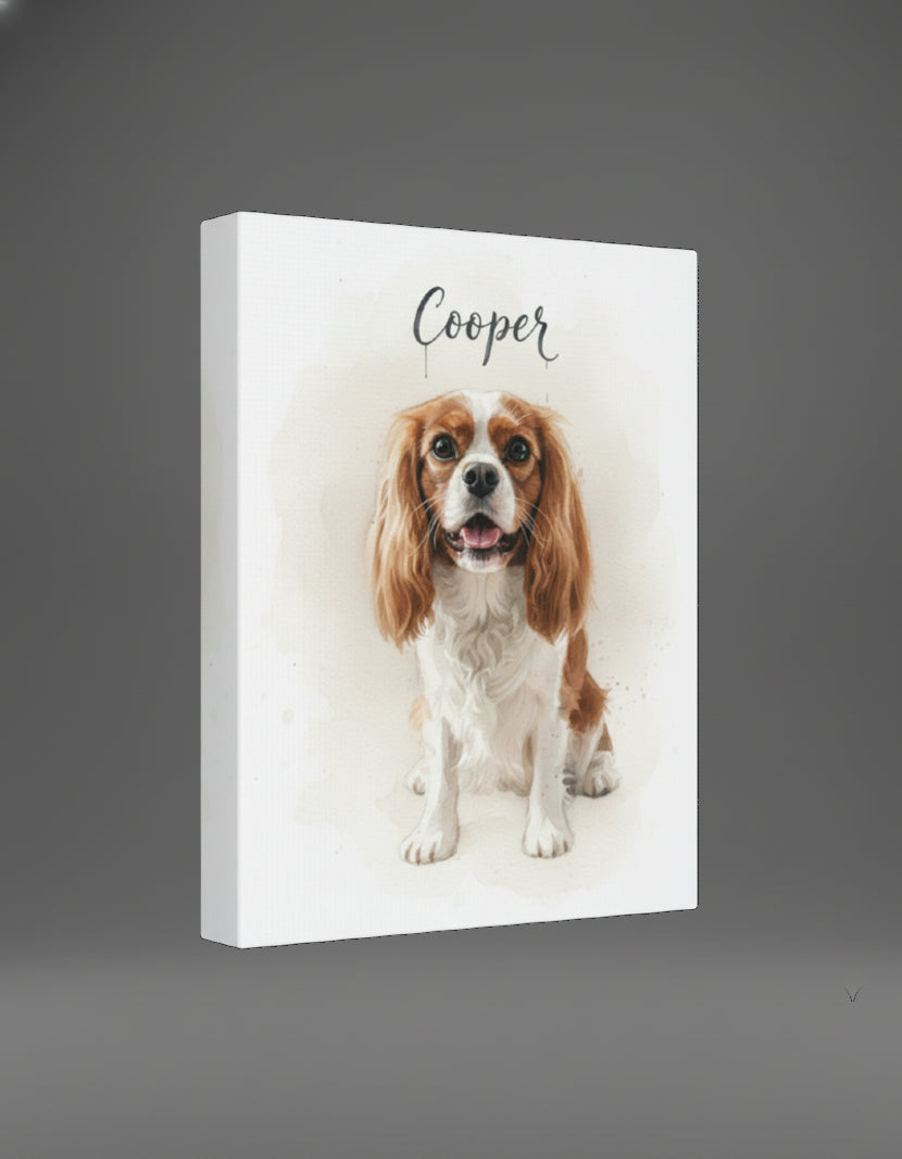 Professional Pet Portraits