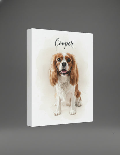 Professional Pet Portraits