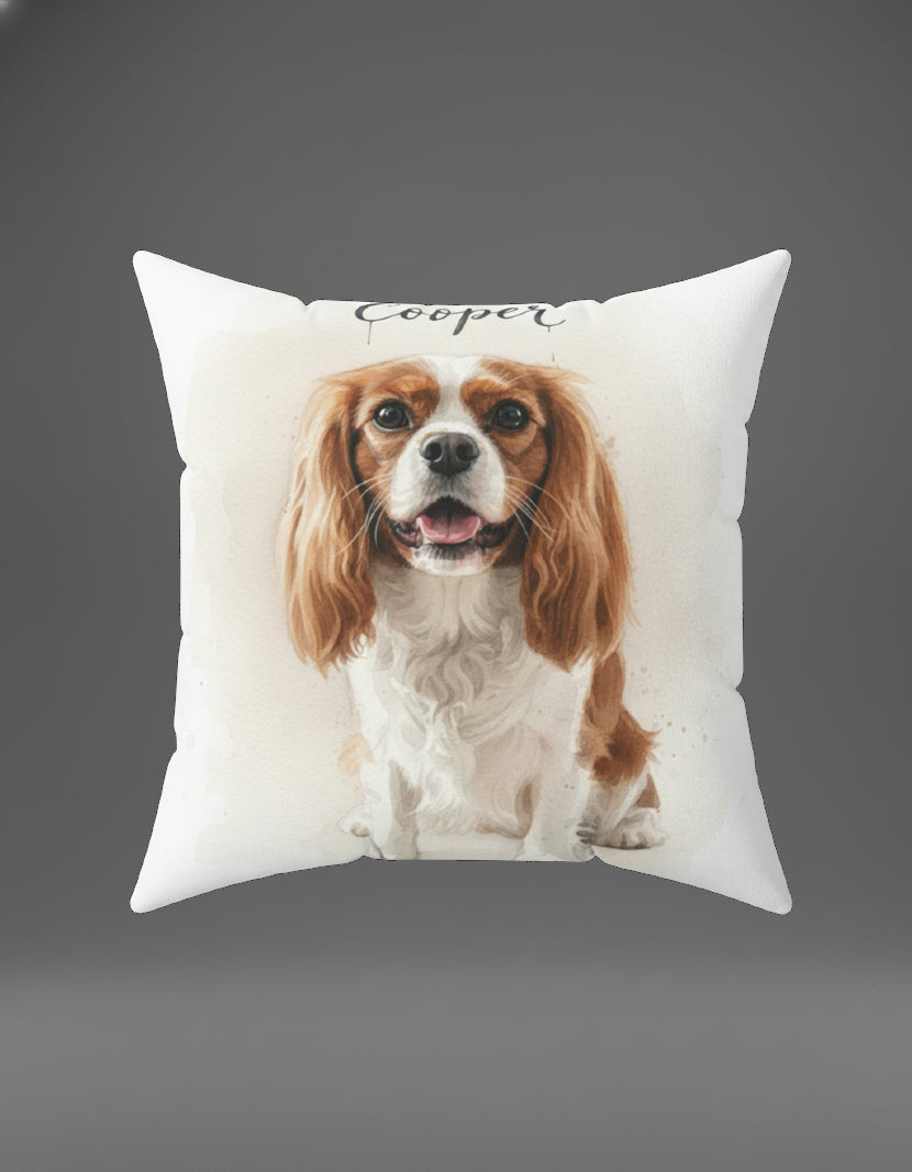 Professional Pet Portraits