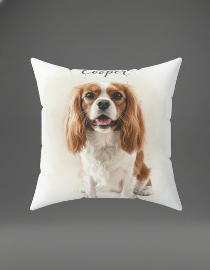 Professional Pet Portraits