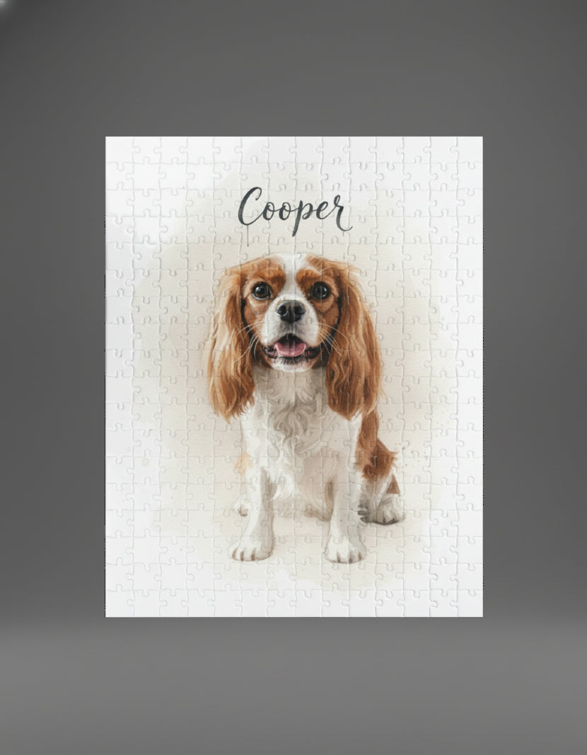 Professional Pet Portraits