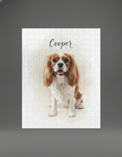 Professional Pet Portraits